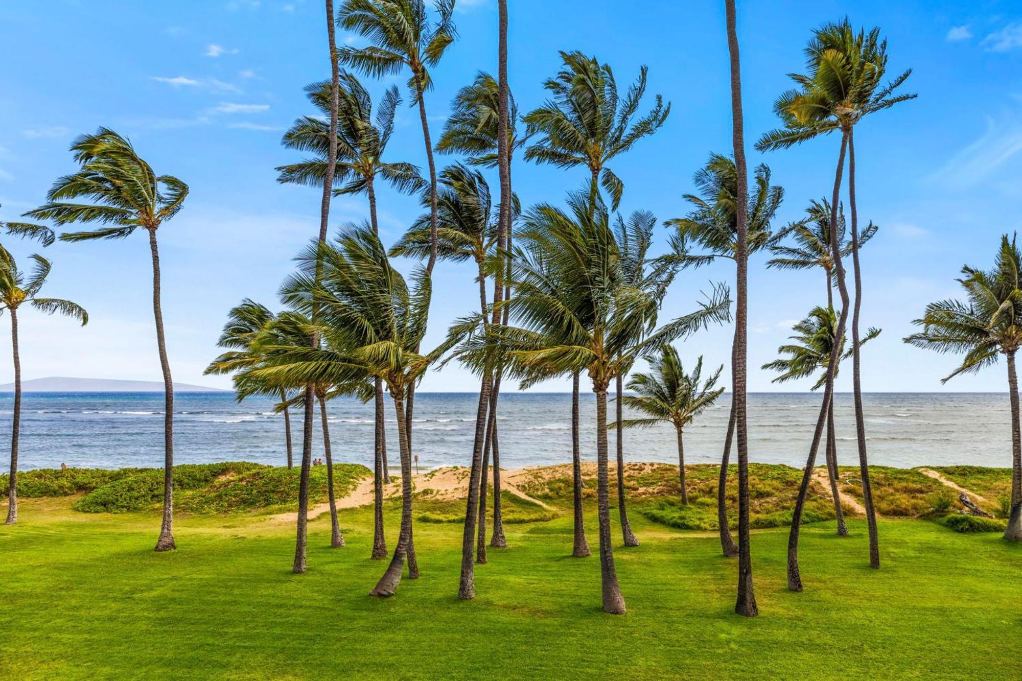 Hale Kai O'Kihei 118 Villa Buitenkant foto