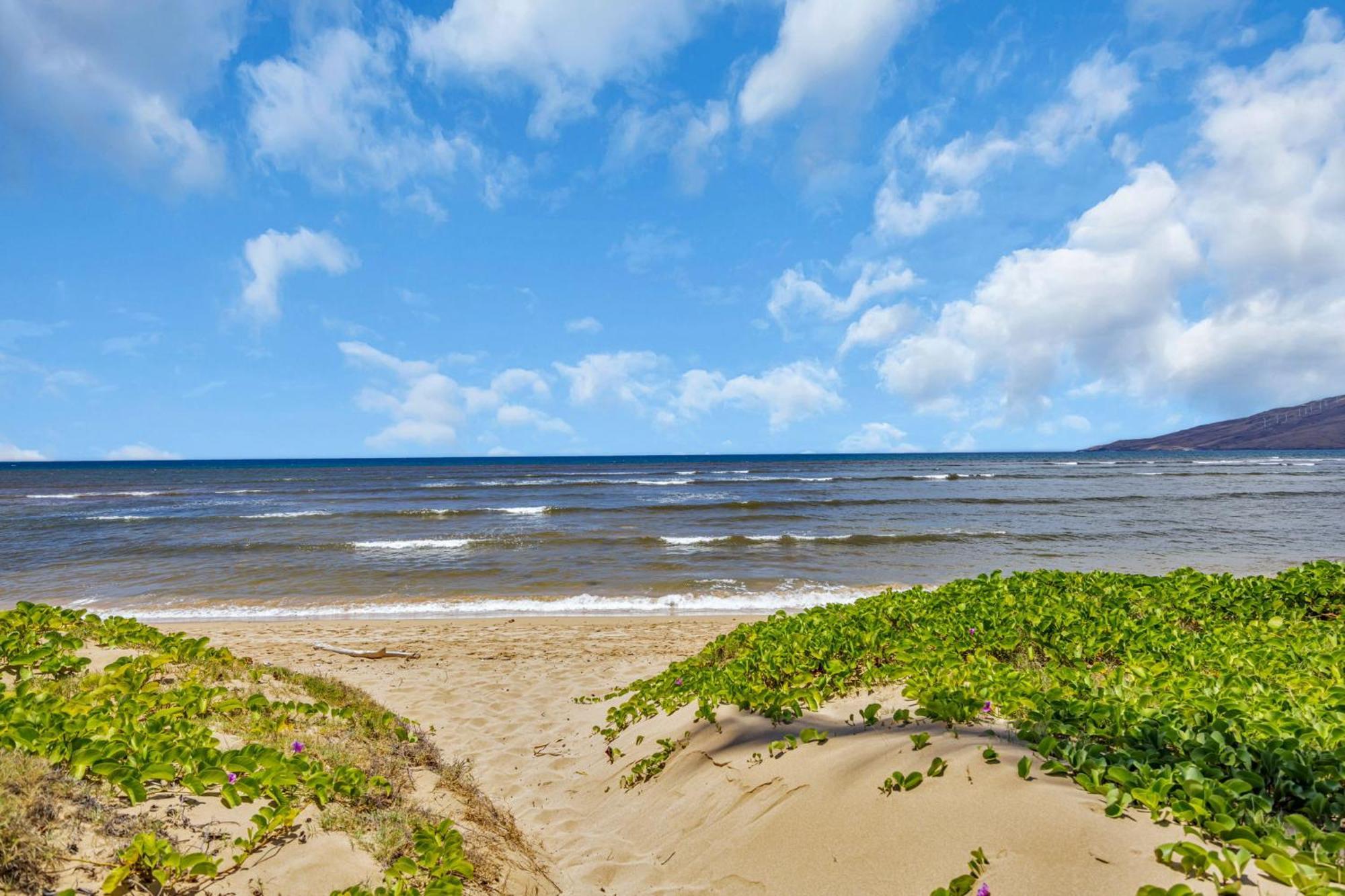 Hale Kai O'Kihei 118 Villa Buitenkant foto
