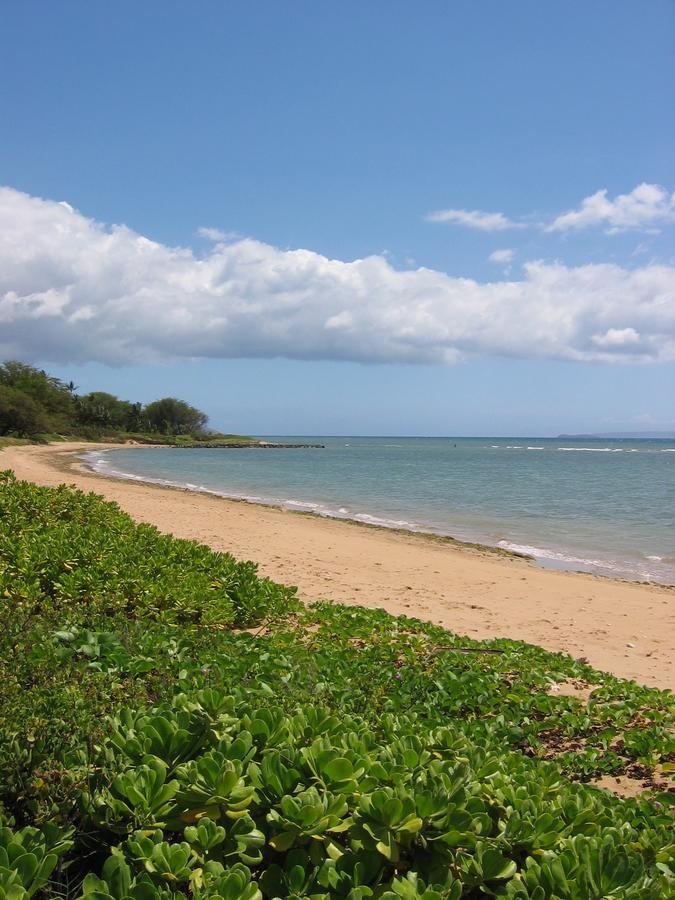 Hale Kai O'Kihei 118 Villa Buitenkant foto